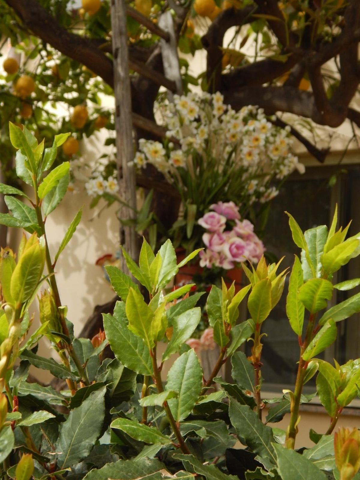 Appartement Nel Giardino Di Nunziatina à Syracuse Extérieur photo
