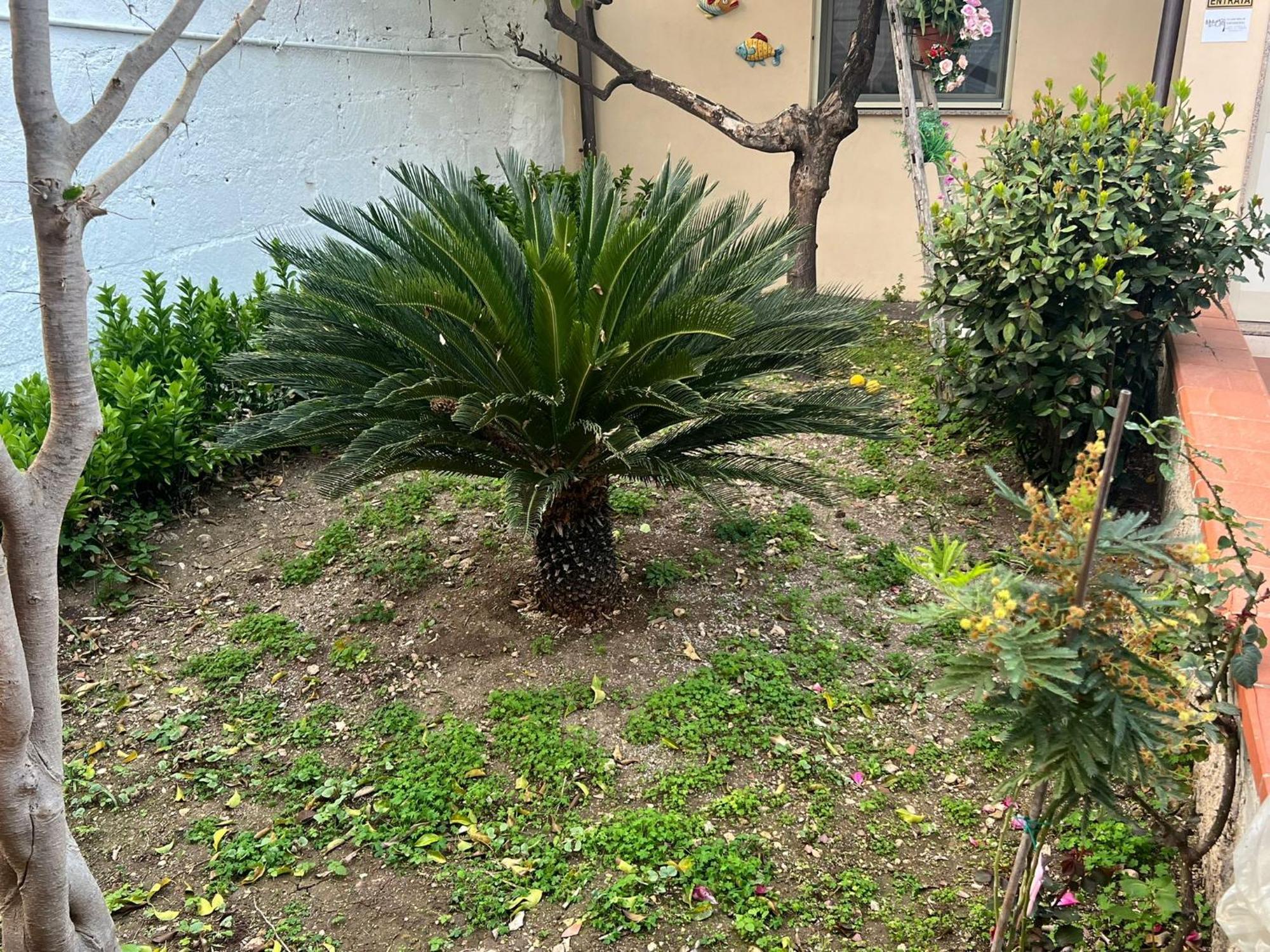 Appartement Nel Giardino Di Nunziatina à Syracuse Extérieur photo